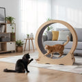 Title: Large Cat Exercise Wheel Treadmill – Quiet Indoor Running Wheel